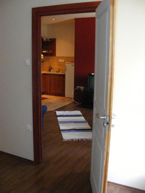 Palatinus Apartment Budapest Rum bild