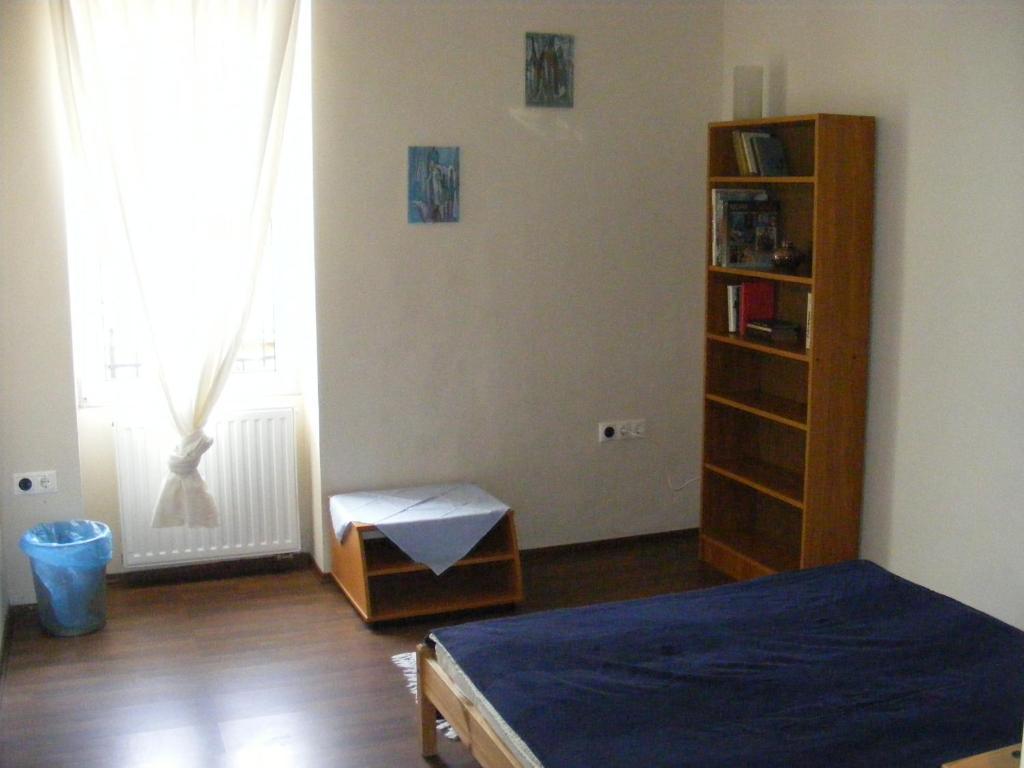 Palatinus Apartment Budapest Rum bild